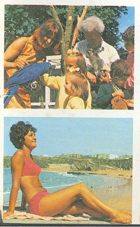 early-newquay-zoo-1960s